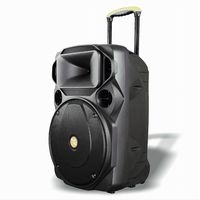 Cassa Audio Portatile Batteria Woofer 15" Usb Mp3 Microfono Extreme Sound Van-xl