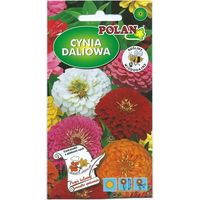 Semillas de zinnia Platinet, semillas de zinnia elegans 1 G