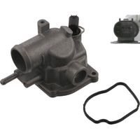 Febi-Bilstein 37456 - Termostato, Refrigerante