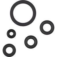 HG Dichtungsring-Satz, Typ: 2