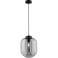 Suspension Fischer & Honsel Regi Verre Fumé E27