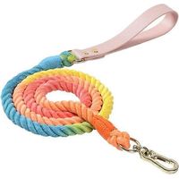 Gewebte Hundeleine mit Farbverlauf, Katzenleine, Haustierleine 120cm12mm - Regenbogen.