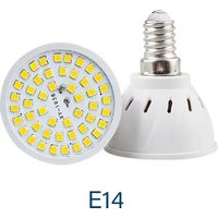 Lampes de croissance pour plantes Ampoule LED spot (E14, blanc chaud 110 V, lot de 3, 60 LED) pour éclairage intérieur