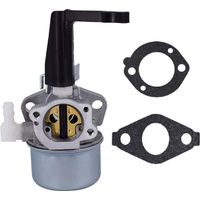 Carburateur pour Briggs Stratton 696065 697422 110402 110412 215369 carburateur de remplacement de moteur de couleur ABRI DE JARDIN