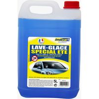 Fensterreiniger 5L Spezial Sommer