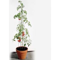 Bellissa Tomatenturm 180 cm hoch Spalier Rankhilfe Rankgitter