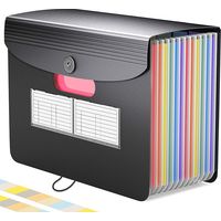 Trieuse A4 / Rangement de documents / Trieuse de documents pour valise (12 compartiments)