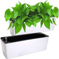 Pot rectangulaire à réserve d'eau (1 unité)