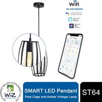 4lite WiZ Connected Smart LED Pendant with Pear Cage & ST64 Amber Vintage Lamp