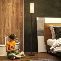Lampadaire en métal noir avec abat-jour en tissu, douille E27, interrupteur au pied, idéal salon/chambre – design moderne et élégant