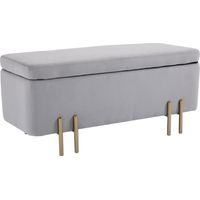 Banc de rangement rembourré pour salon et chambre, 100 x 40 x 42 cm, gris avec assise confortable et rangement intérieur facile à assembler avec instructions incluses