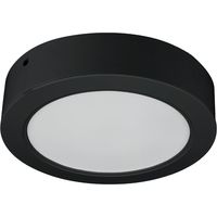 Plafonnier LED de salle de bain 18 W 2 en 1, rond, noir, montage en saillie/encastré, IP54, DPM
