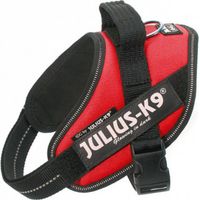 Julius Arns IDC Red Dog