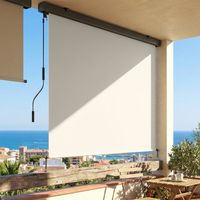 Tenda a rullo per esterni, tenda verticale per esterni con manovella e cassonetto in alluminio, 250x160 cm, crema