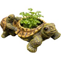 Blumentopf für Pflanzen im Innen und Außenbereich vase de