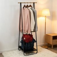 Portant à vêtements moderne, portant à vêtements de chambre, portant à vêtements d'entrée (portant à vêtements uniquement)