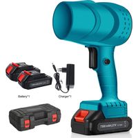 Souffleur électrique sans fil 21V 380W – 36 000 tr/min, souffleur de feuilles puissant, 2 batteries 1500mAh incluses