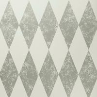 Clarke and Clarke Tortola Nickel Silver Wallpaper Metallic Effect Paste The Wall