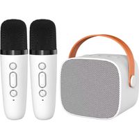 Enceinte karaoké Bluetooth avec 2 microphones sans fil - Enceinte HiFi portable blanche