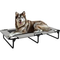 Letto per Cani Grandi Pieghevole con Tessuto a Rete da Interno ed Esterno, 107x61x20 cm, Grigio Chiaro