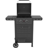 Barbecue a Gas 2 Fuochi HOT 2