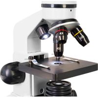 Microscopio digitale Levenhuk Rainbow D2L 0.3M, Moonstone di Moon