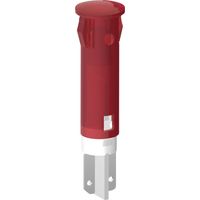Signal Construct SKGD05102 LED-Signalleuchte Gelb Rund 12 V/DC