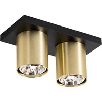 Modern Ceiling Spot Black with Gold 2 Lights - Tubo