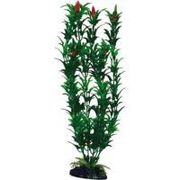 Set 6 pezzi Plant Classic Egeria Flowers Bicolou Small
