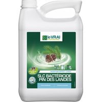 Détergent bactéricide pour nettoyeur haute pression – Spécial bois et surfaces délicates – Nettoyage efficace et rapide – Action Pin