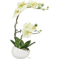 Orchidée factice 2 hampes coupe céramique H45cm touché réel Crème vert - couleur: Crème vert