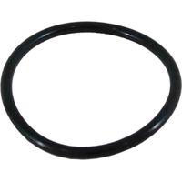 Ventil / Tankdichtung Fleckventil 5000 / 5800 / 5810 / 7700 / 9100