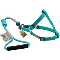 Arista de Zeus Arn’ © s et Strap Tour S Aqua 1,5x35-55cm