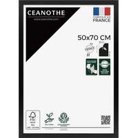 Ceanothe Marco 50x70 Negro para Decoración de Pared