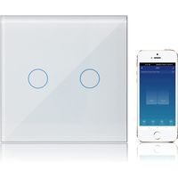 WiFi Smart Touch Switch Alexa Google Assistant Compatible 2 Gang 1 Way, Wall Light Switch Tuya Smart Life App Intelligent Control
