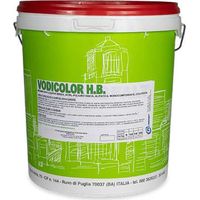 MEMBRANA LIQUIDA COLORATA 'VODICOLOR H.B.' kg. 1 - rossa
