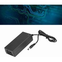 Adaptateur Secteur UE Sécurisé 2A pour Batterie Lithium avec Câble de Charge