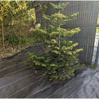 Longueur 20m / Largeur 5,15m / Coloris Marron / 130gr/m2