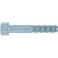 Zinkbeschichtete Metall-Schrauben 5x50 mm Box 200 Stück