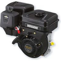 Motor BRIGGS & STRATTON horizontale Welle VANGUARD 10 PS 305 cc 19L237-0319-F1
