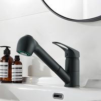 Zamery – Mitigeur de cuisine noir avec douchette extractible – 2 jets – Bec pivotant 360° – Raccord standard 3/8' – Pour lavage fruits et vaisselle