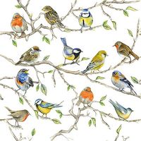Serviettes Papier Oiseaux Ambiente Design Unique 'réunion D'oiseaux' - Ambiente