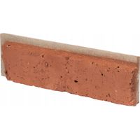 Piastrelle da rivestimento effetto mattone 15-30x7,8 cm 0,42 m² Cemento senza fughe