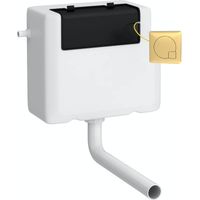 Nuie Concealed Cistern and Brushed Brass Square Dual Flush Plate - XTY8M03