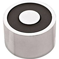 RED MAGNETICS Electroaimant aimanté (état hors tension) 300 N 12 V/DC 28 W ITS-PE3529-12VDC