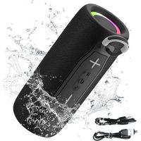 Enceinte Bluetooth Portable - Surround Stéréo 360° Sans Fil Enceinte 1200mAh - Étanche IP67, USB-AUX-TF pour Randonnées