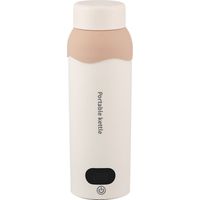 Bouilloire électrique de voyage, petite bouilloire portable en acier inoxydable 304 avec arrêt automatique et 6 réglages de température, idéale pour le thé, le café et le lait, 450 ml