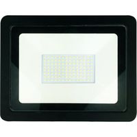Faro LED esterno 150W 12000lm IP65 Eko-Light EKN2127