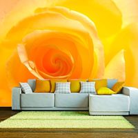 Papier peint rose jaune - 250 x 193 cm