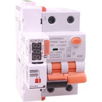 RCBO Interruttore Magnetotermico Differenziale Con Riarmo Automatico Tipo B Curva C 1P+N 2M 6000A 30mA AC 230V 3 Tentativi Disponibili 16A 20A 25A 32A 40A (C20A)